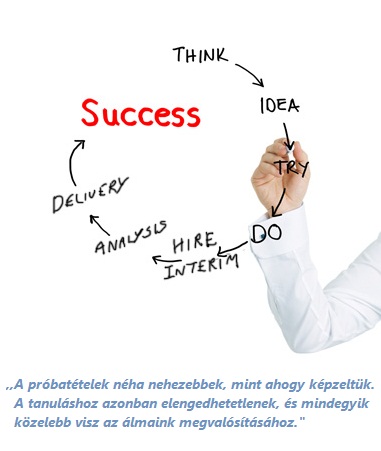 success-interim-management