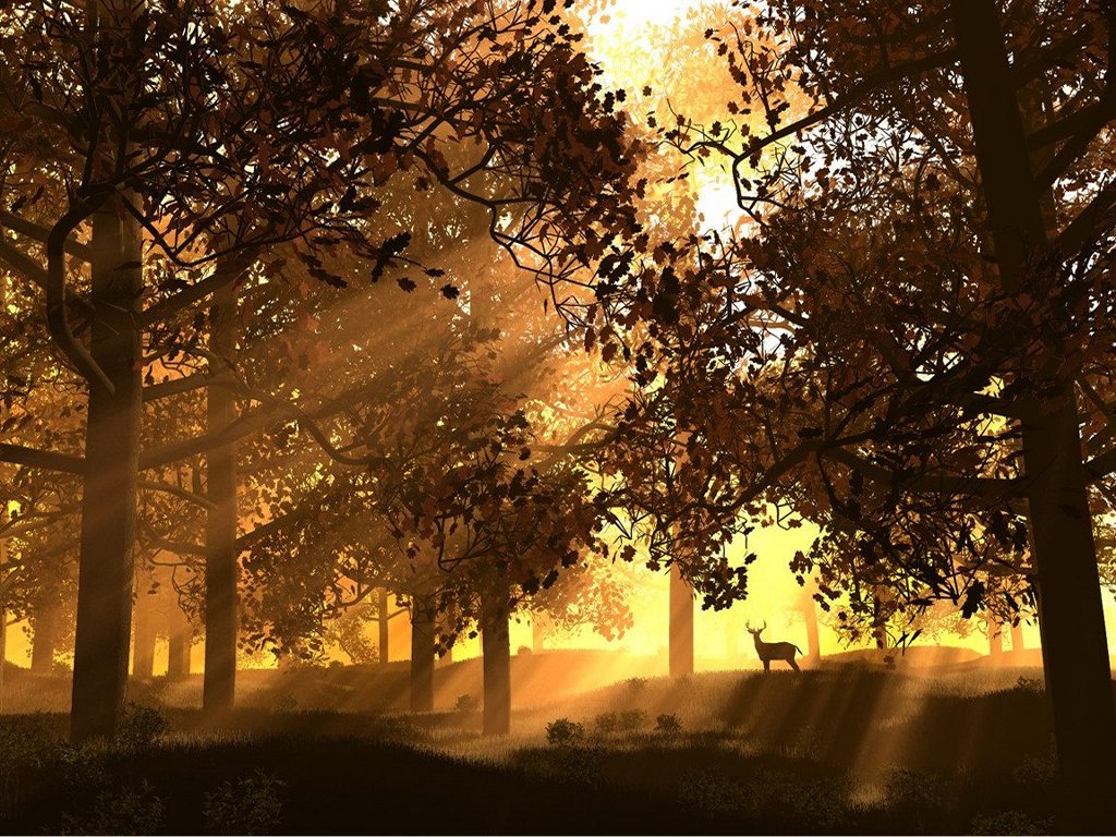 abstract-sunset-forrest---1024x768