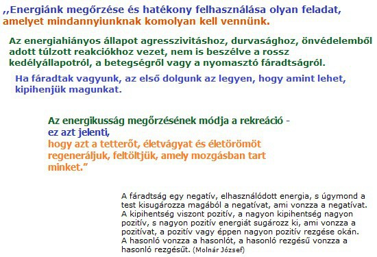 energiank-megorzeset-es-hatekony-felhasznalasat-komolyan-kel.jpg