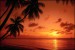 sunset-beach-palms