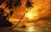 tropical-sunset-wallpaper-1920x1200-