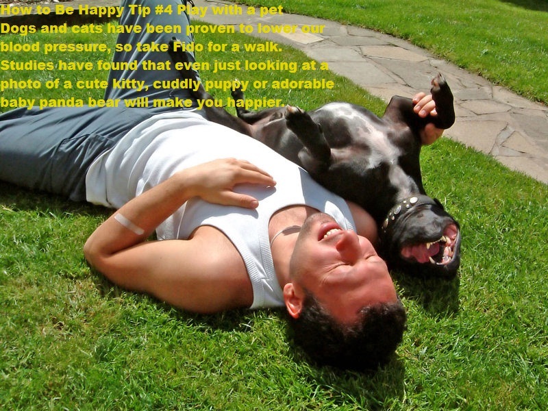 how-to-be-happy-4-play-with-a-pet