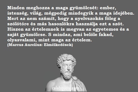 minden-meghozza-a-maga-gyumolcset