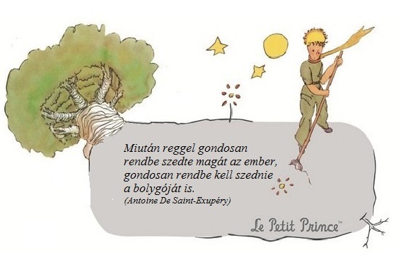 miutan-reggel-gondosan-rendbe-szedte-magat-az-ember--gondosan-rendbe-kell-szednie-a-bolygojat-is
