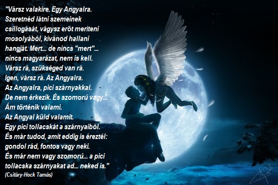 varni-az-angyalra