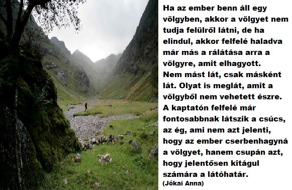 volgybol-kifele