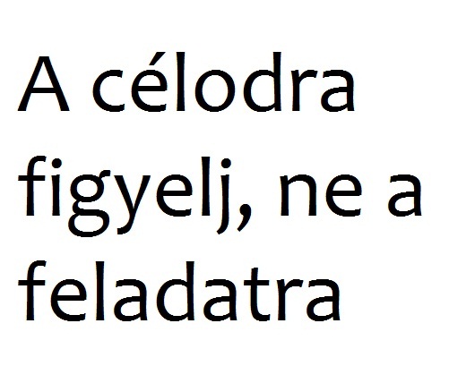 a-celodra-figyelj--ne-a-feladatra