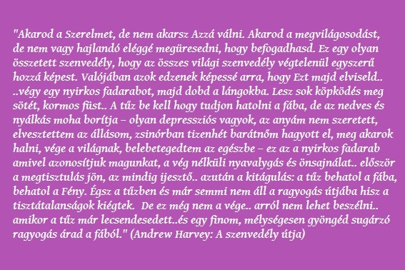 akarod-a-szerelmet