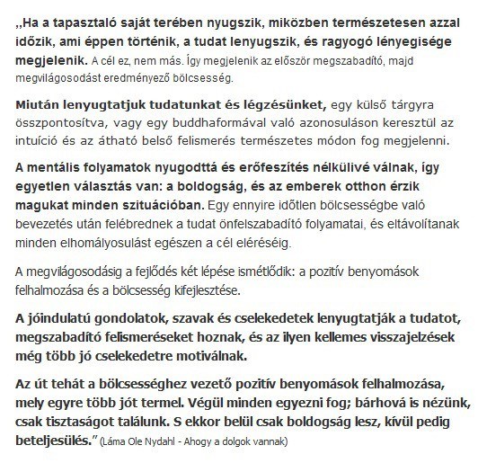 Ha a tapasztaló a saját terében