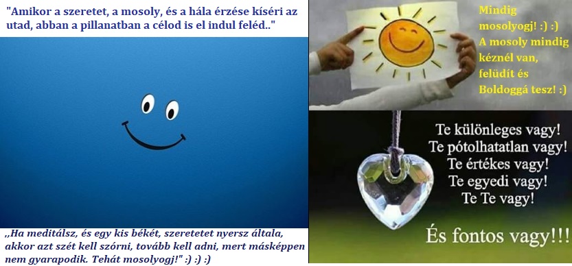 amikor-a-szeretet--mosoly-es-hala-kiseri-az-utadat--akkor-a-cel-is-jon_2