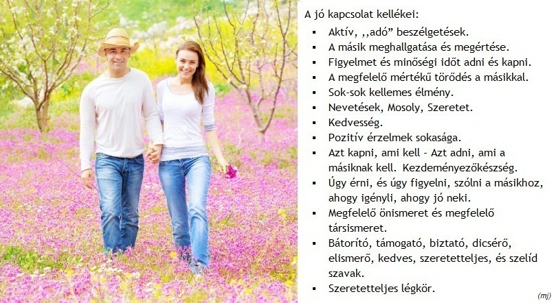 A jó kapcsolat kellékei