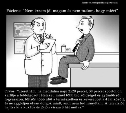 igy-elj