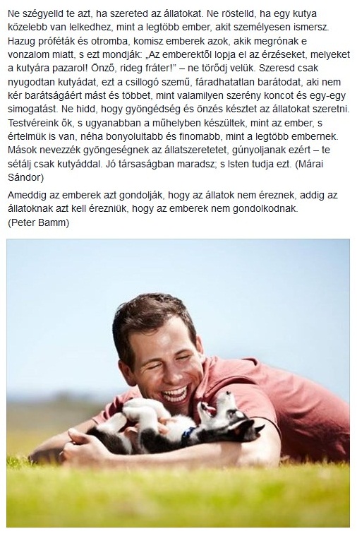szeresd-a-kutyadat-man-dog-playing