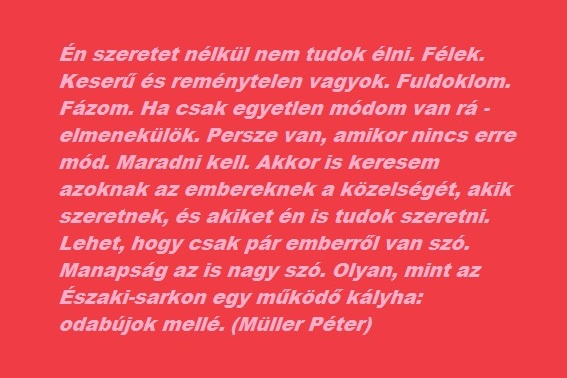 szeretet-nelkul
