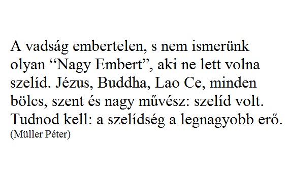 nevtelen6