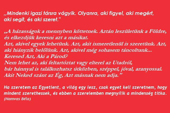 mindenki-olyan-tarsra-vagyik