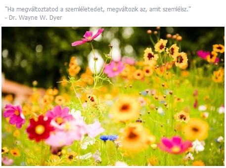 ha-megvaltozik-a-szemleleted--megvaltozik--az-amit-szemlelsz