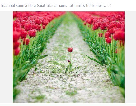 ghjkjkkk