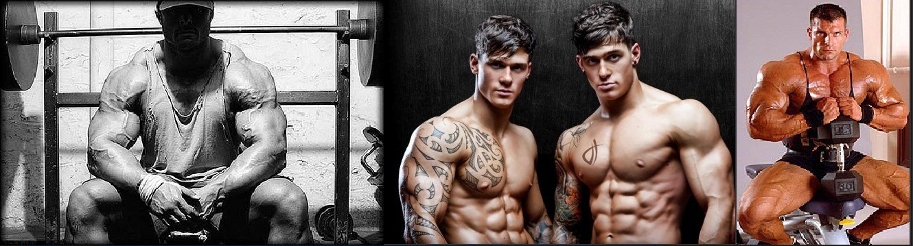 ffeher-harrison-twins