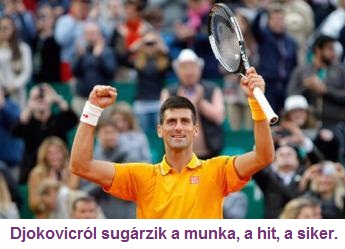 djoko-munka--hit--siker