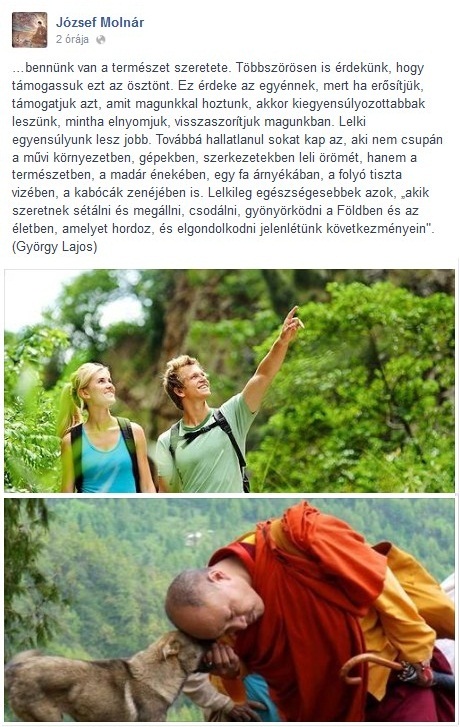 bennunk-van-a-termeszet-szeretete