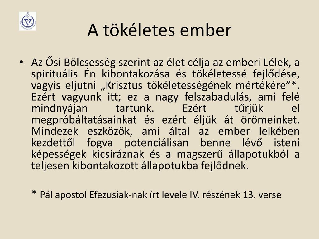 A tökéletes ember