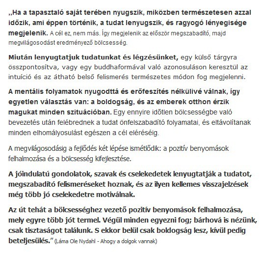 ha-a-tapasztalo--lenyugtatjuk-tudatunkat-es-legzesunket--a-pozitiv--jo-gondolatok--szavak-fehalmozasa--az-ut-tehat