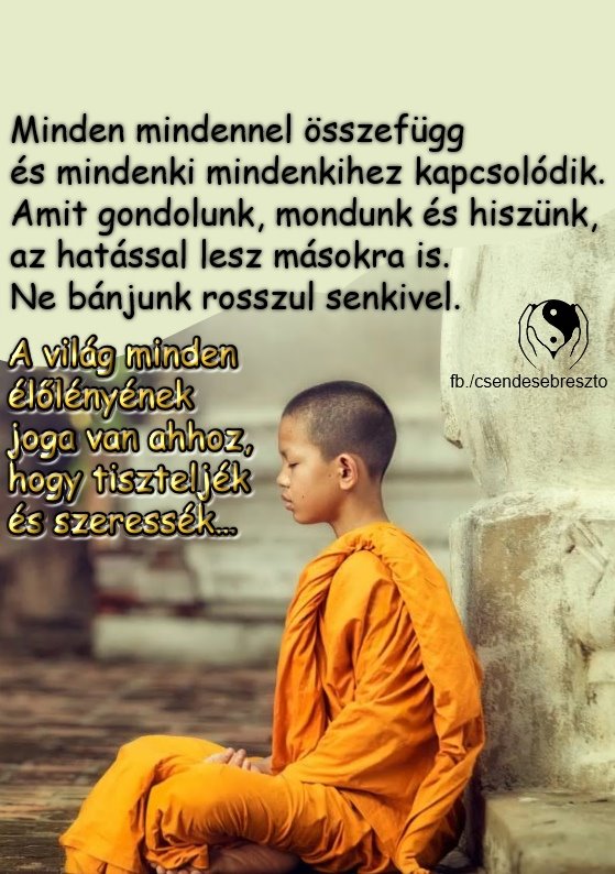 Minden mindennel összefügg, és mindenki mindenkihez kapcsolódik.