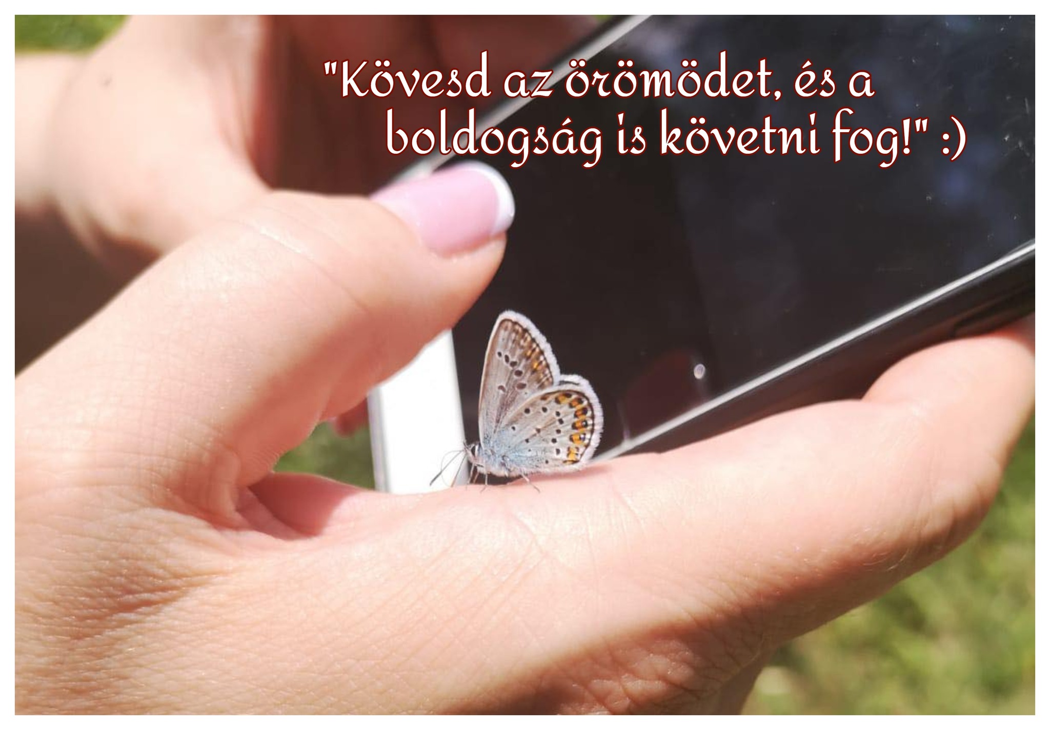 Kövesd az örömödet, és a boldogság is követni fog!