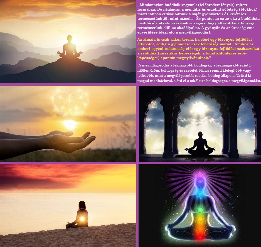 Mindannyian buddhák vagyunk - Megvilágosodás