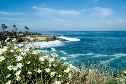 la-jolla