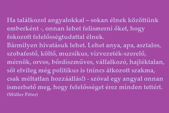 a-foldi-angyalok-fokozott-feleloseggel-rendelkeznek
