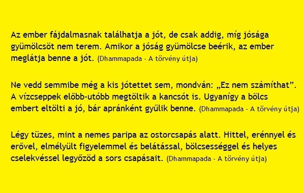 a-jo-cselekedetek-felhalmozasai