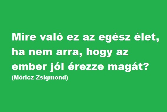 az-elet--hogy-az-ember-jol-erezze-magat