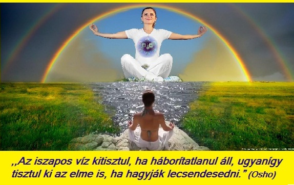az-elme-tisztul--ha-hagyjuk-lecsendesedni
