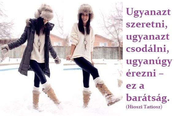 baratsag---ugyanazt-szeretni--ugyanazt-csodalni--ugyanugy-erezni