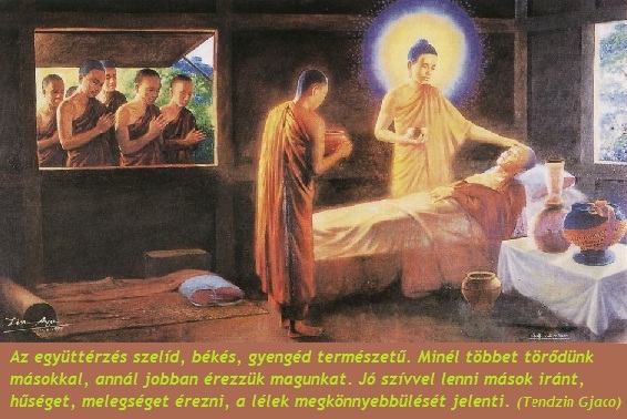 empatia---nem-vagy-egyedul