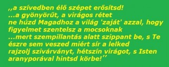 a-szivedben-levo-szepet-erositsd.jpg