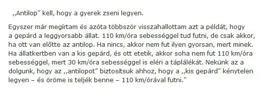 kihivas-kell-a-gyereknek--hogy-zseni-legyen.jpg