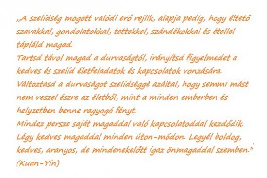 a-szelidseg-valodi-ero.jpg