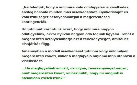 megfigyeleses-tanulas.jpg