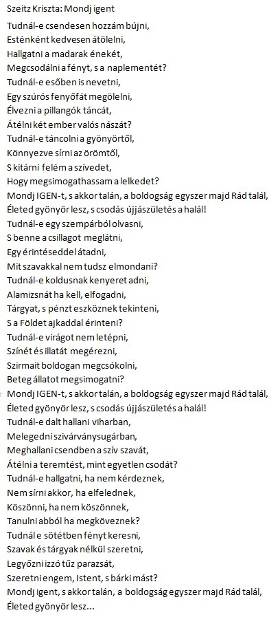 mondj-igent