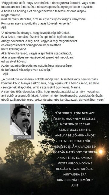 ae6f71f3d4640fe8b44e1129f1a1cae5.jpg