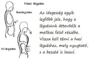 hasi-legzes-nyugtato.jpg