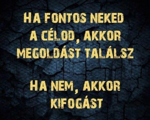 00110_n.jpg