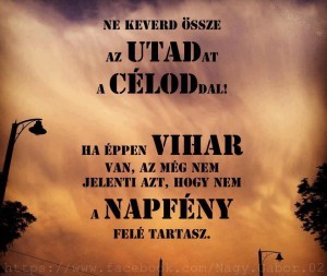 vihar-nem-azt-jelenti--hogy-rossz-uton-jarsz.jpg