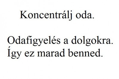 koncentralj-oda.jpg