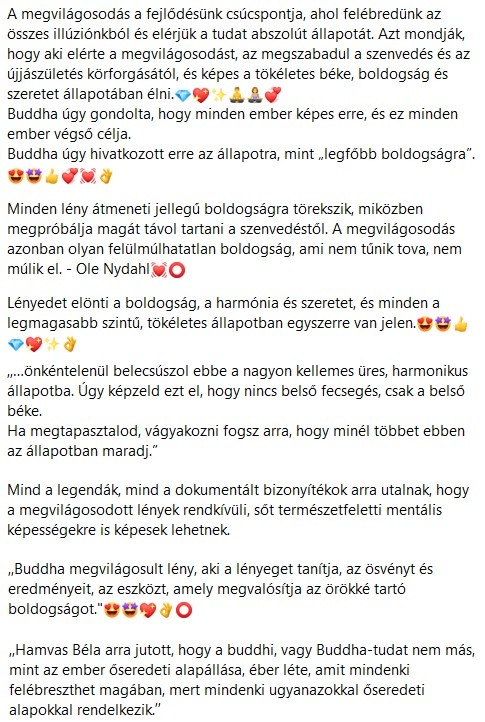 a-siker-titkai---boldogsag---megvilagosodasba.jpg