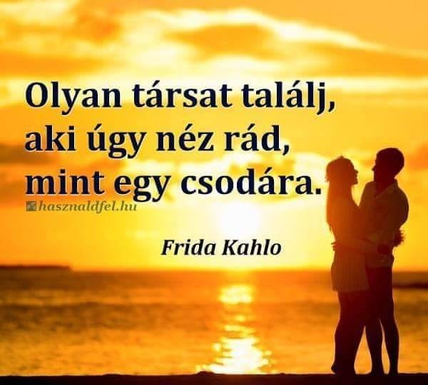 Társ