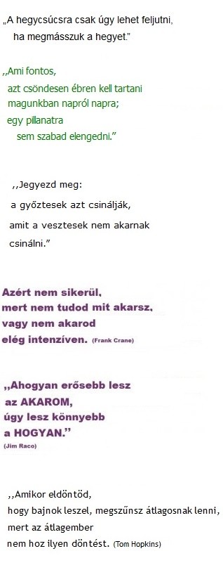 siker-szavak--kifejezesekheeez.jpg